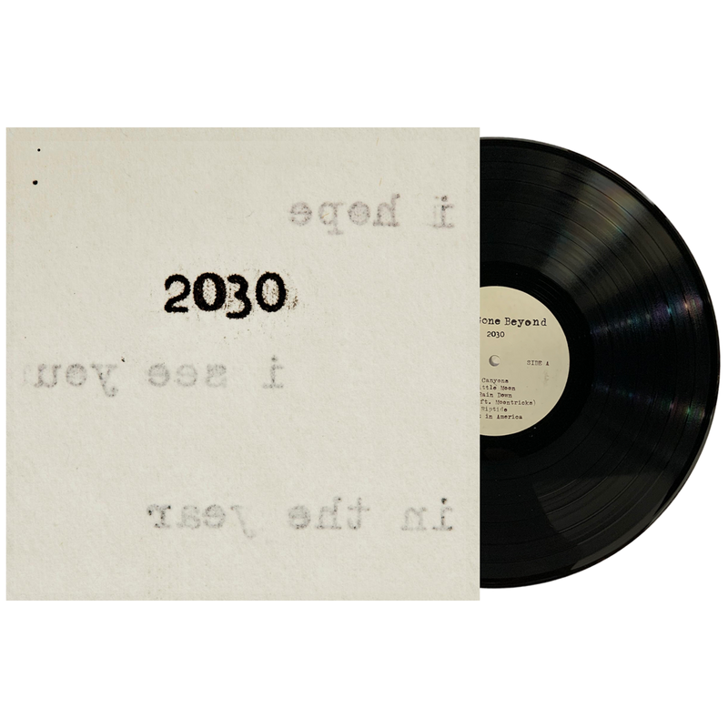 2030 Vinyl (4 Colors)