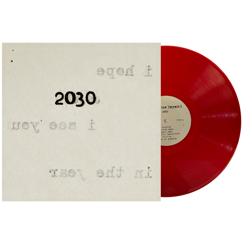 2030 Vinyl (4 Colors)