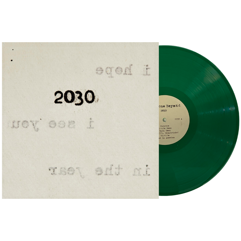 2030 Vinyl (4 Colors)